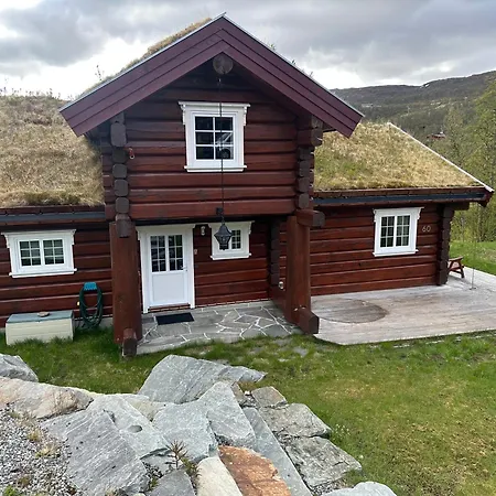 Lekker Tommerhytte Holiday home Tyinkrysset